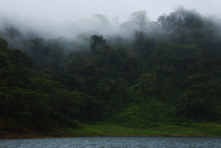 costarica2017-021 Mezi Santa Elenou a La Fortunou je část cesty nutno absolvovat lodí. Výhledy jsou - kostaricky zelené.