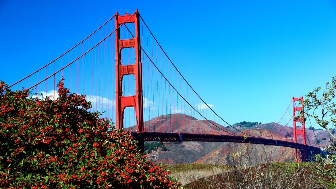 san_francisco_2014_clanek