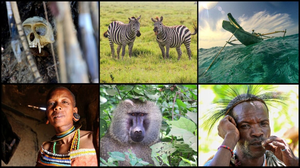 tanzanie2016_clanek Tanzánie 2016