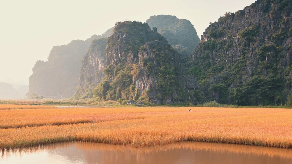 vietnam_2012_clanek