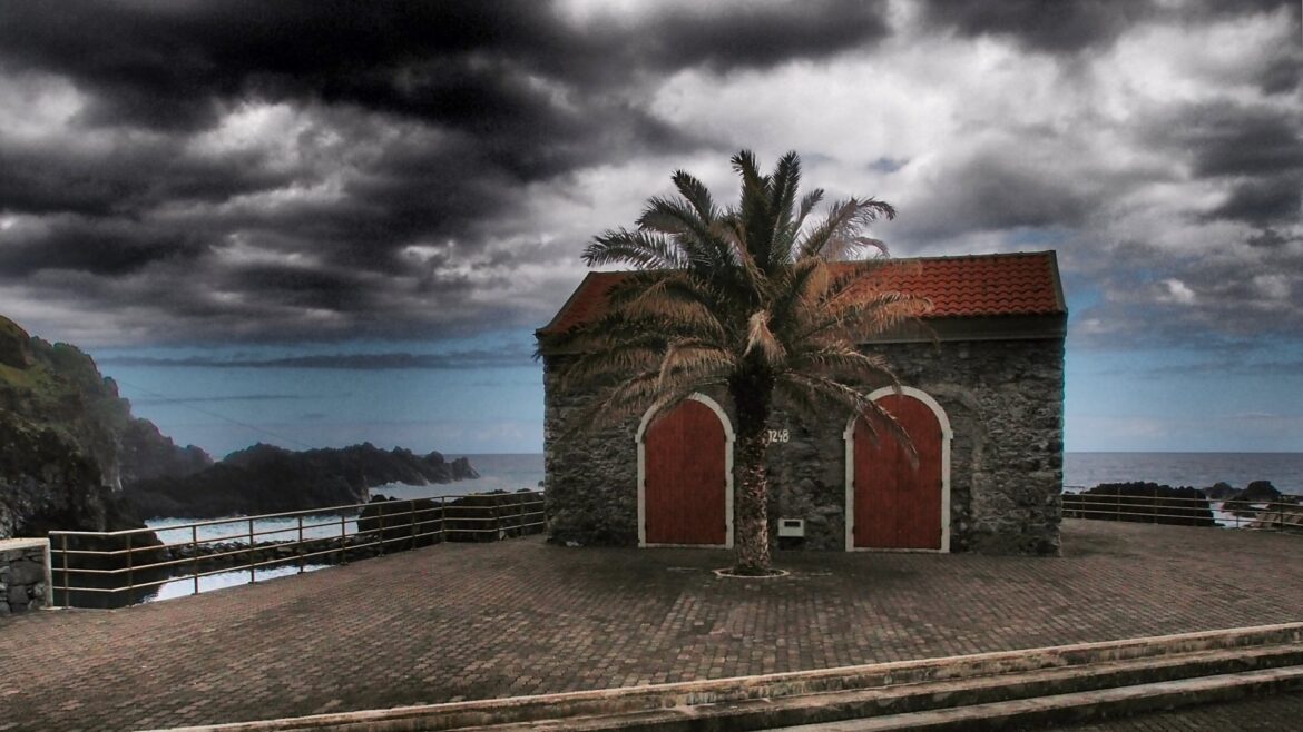 madeira_leden2013_clanek