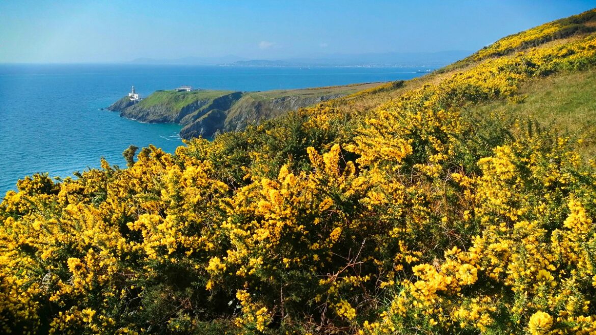 0722lighthouse_baily_howth_ireland Maják Baily, Howth, Irsko.