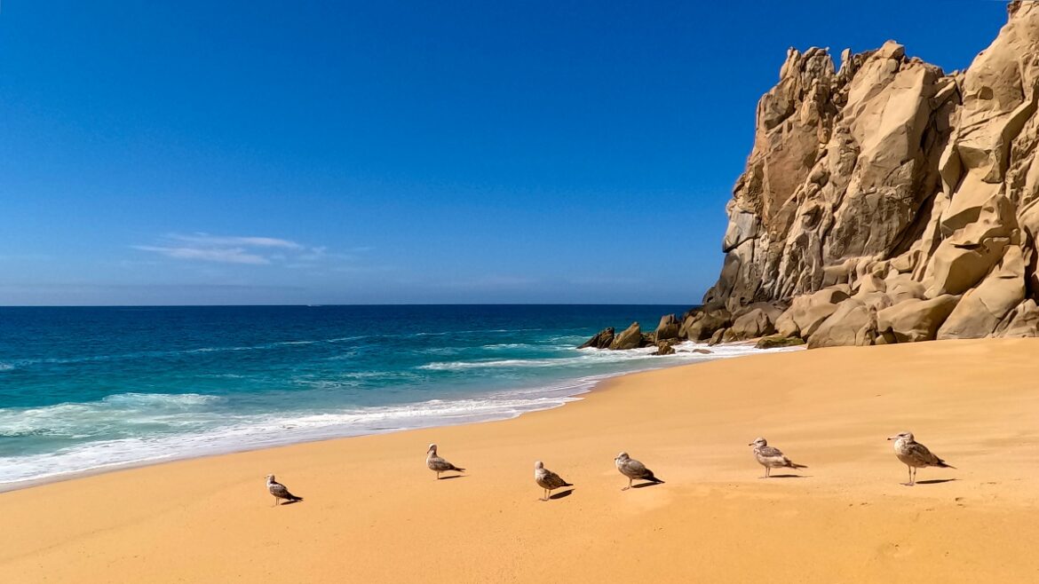 0323mexico_baja_california_sur_divorce_beach